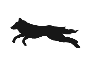 black_wolf_run_by_theunspeakablex-d78a2pz.gif