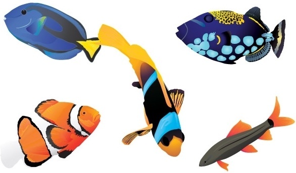 Fish free vector download (825 Free vector) for commercial use ...