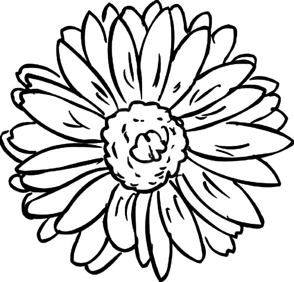 1 References for Coloring Pages - Part 21