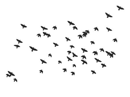 Flock of birds clipart free