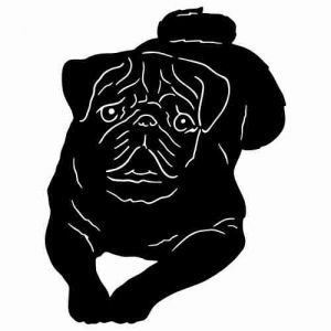 Pug, Google and Silhouette