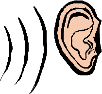 Ear Pictures For Kids - ClipArt Best