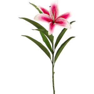 flowers 1 - Polyvore