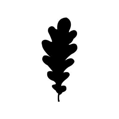 Oak Leaf Vector | Free Download Clip Art | Free Clip Art | on ...