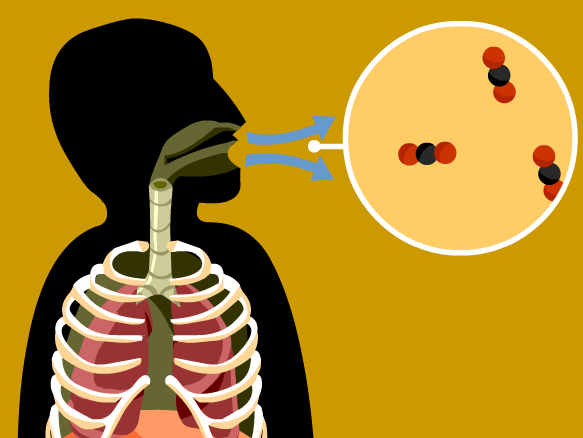 Cellular respiration clipart - ClipartFox