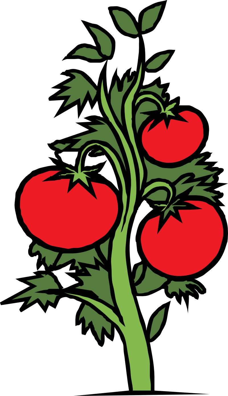 Plants Clipart | Free Download Clip Art | Free Clip Art | on ...