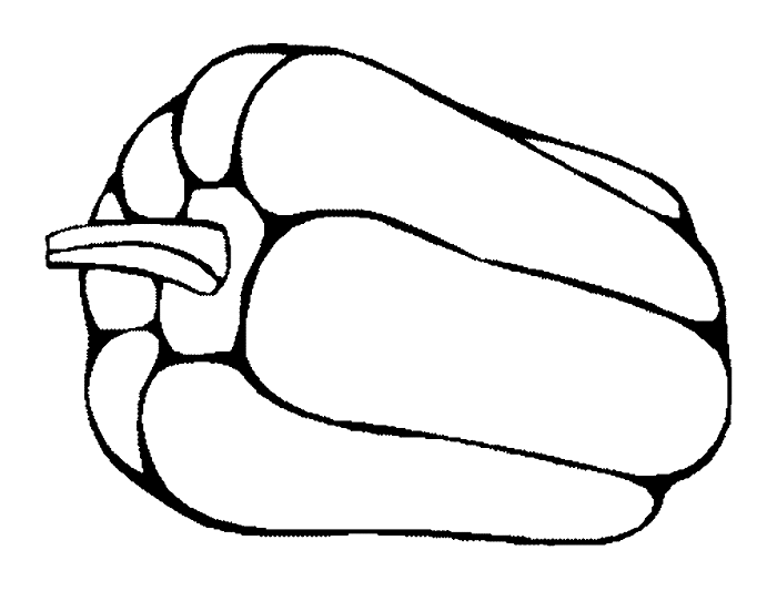 Download Free Vegetable Coloring Sheets - Pipress.net