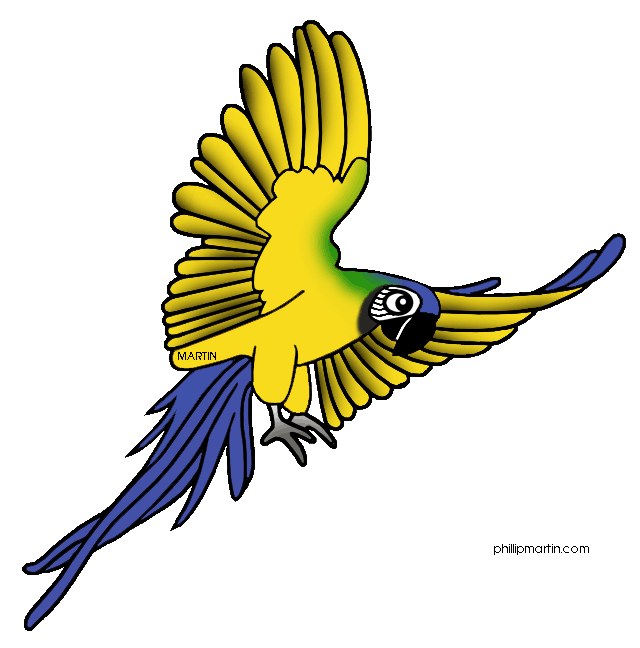 Macaw Clip Art