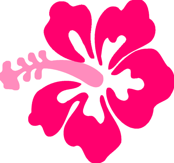 Image - -PA- Hibiscus Logo -Alpha-.png | Second Life Aviation Wiki ...