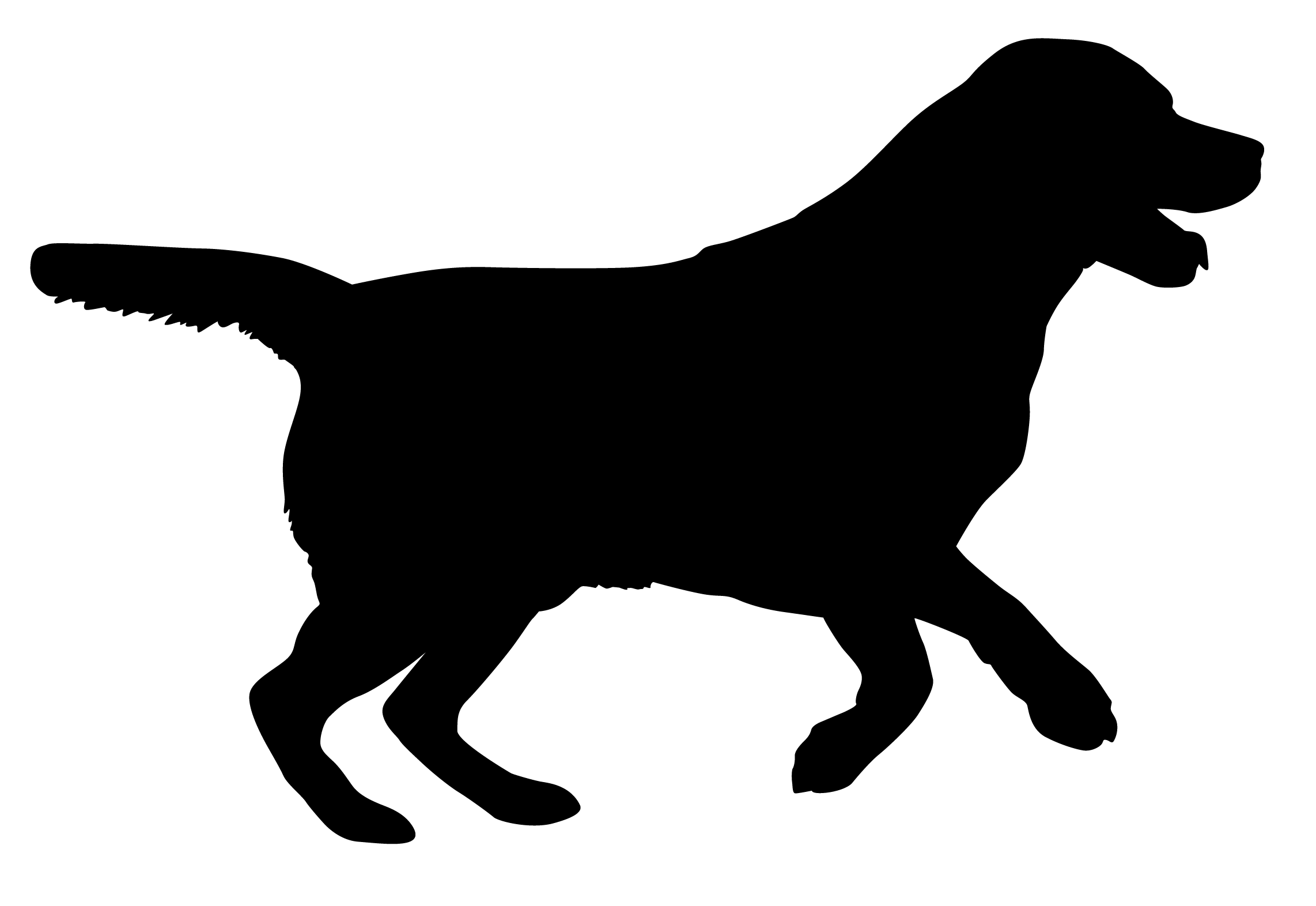 animaux/silhouettes | Visuels L214