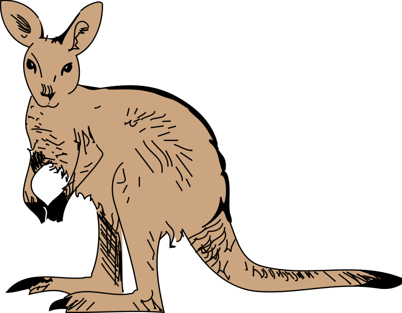 Kangaroo 3 Free Vector