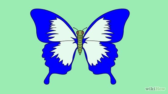 2 Ways to Draw a Butterfly Step-by-Step - wikiHow