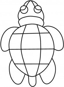 Turtles, Glasses and Sea turtles
