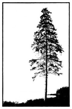 trees | Tree Silhouette, Tree Stencil and Free Vector Gr…