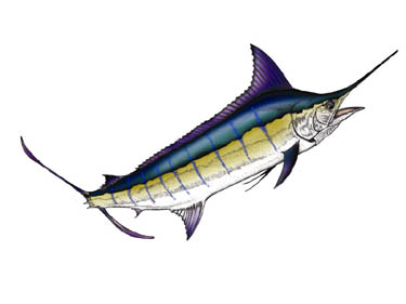 Chart Art - Marine Art, Custom Artwork, Boat & Yacht Illustrations ...