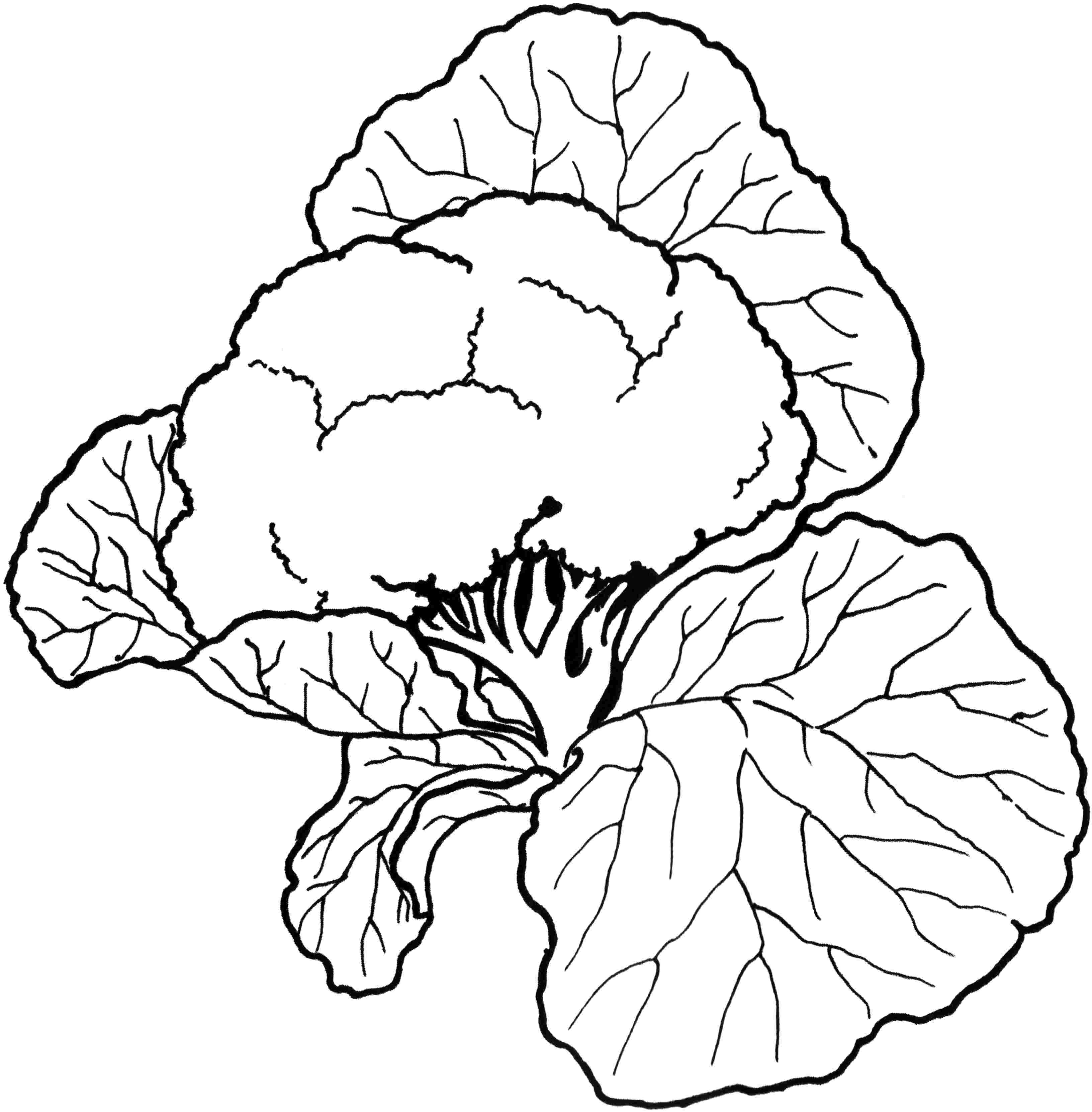 Vegetable Coloring Pages - Walloid