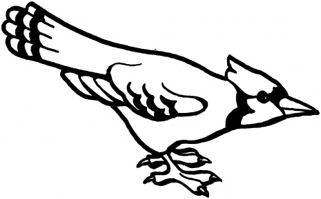 Cartoon Blue Jay | Free Download Clip Art | Free Clip Art | on ...