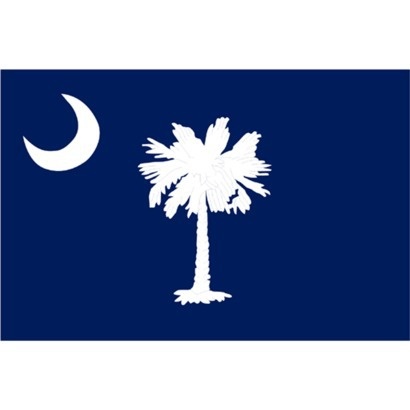 South Carolina Tattoo | Asheville ...