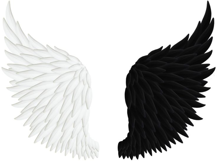 White Angel Wings - ClipArt Best