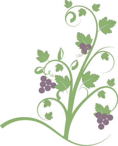 Grapes plant clipart