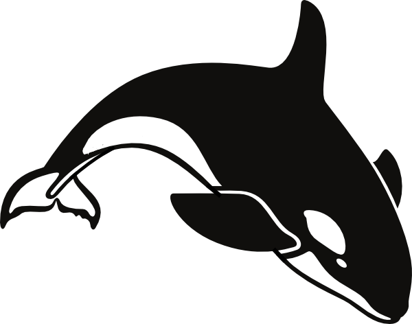 Shamu Coloring Pages