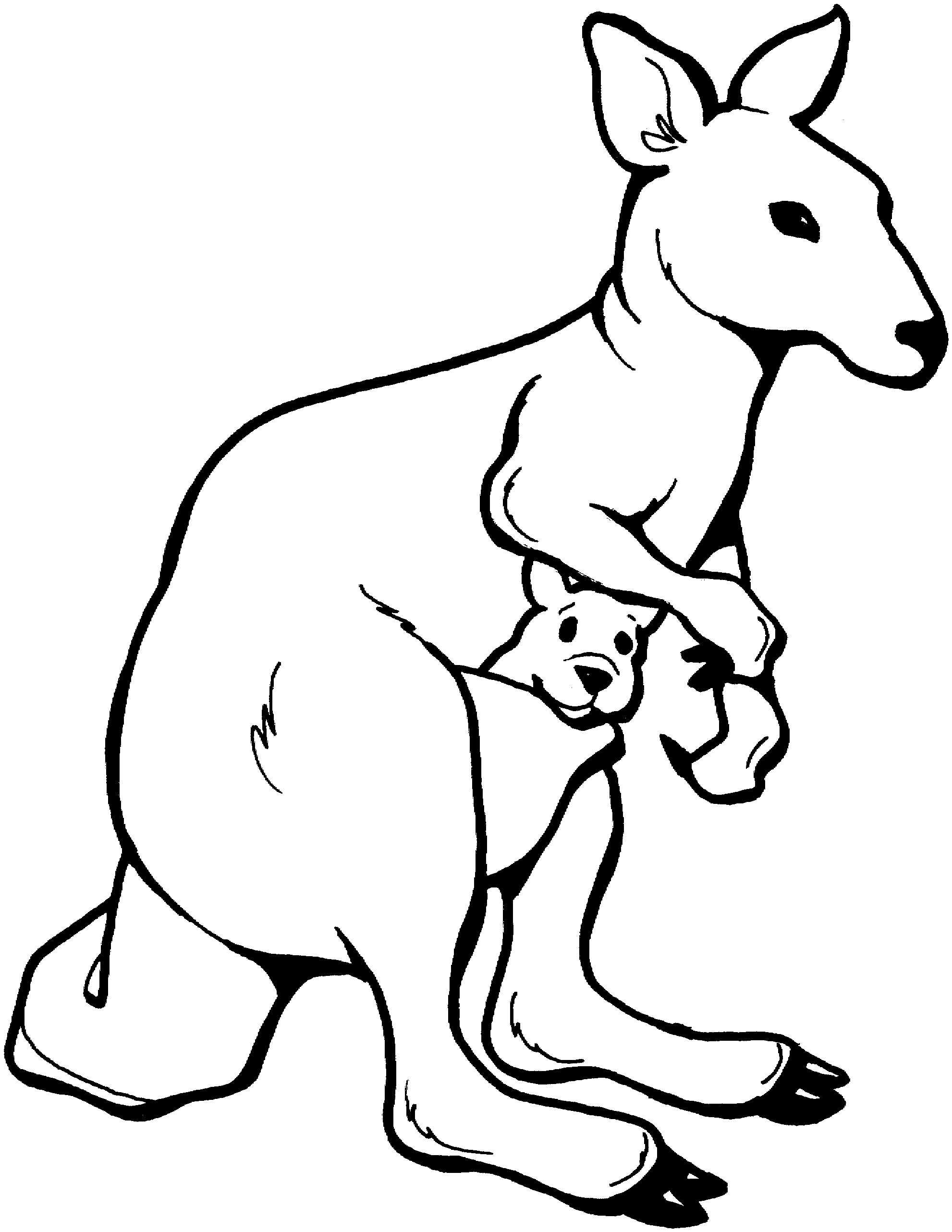 Joey Kangaroo Clipart - Free Clipart Images
