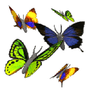 Animated Butterfly Flying - ClipArt Best