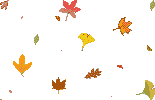 Autumn Animated Wallpapers and Pictures | 12 Items | Page 1 of 1