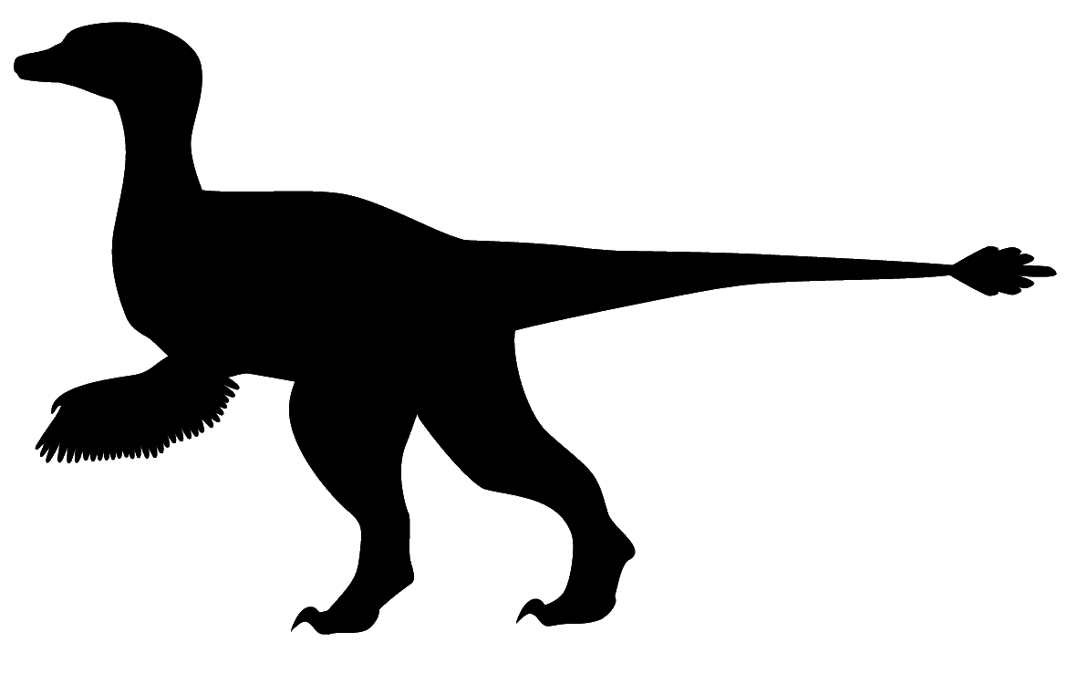 Dinosaur Silhouette