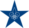 Teal Star - vector clip art online, royalty free & public domain
