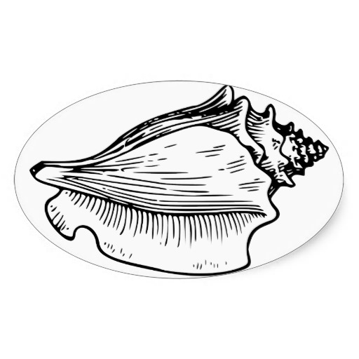 Conch Shell Sketch Oval Stickers from Zazzle.