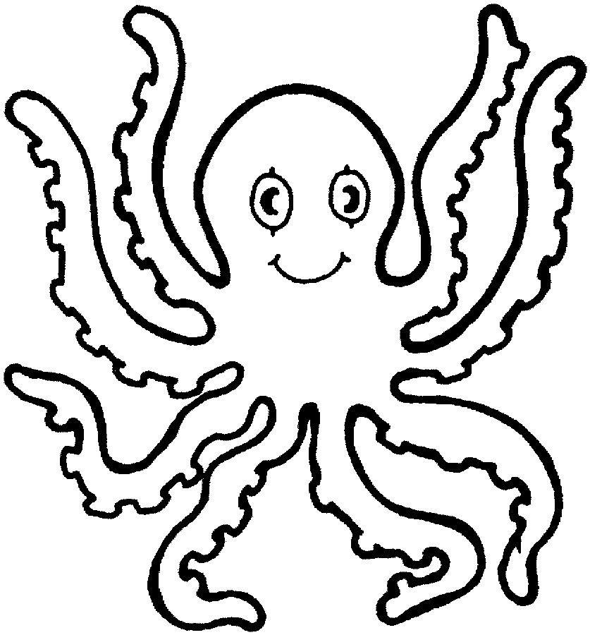 Water Animals to Color