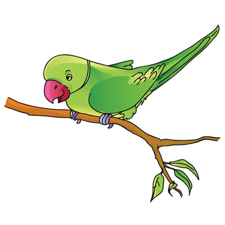 Parrot Clipart
