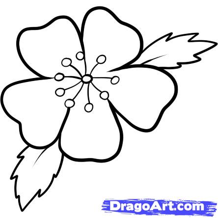 How to Draw a Cherry Blossom, Step by Step, Flowers, Pop Culture ...