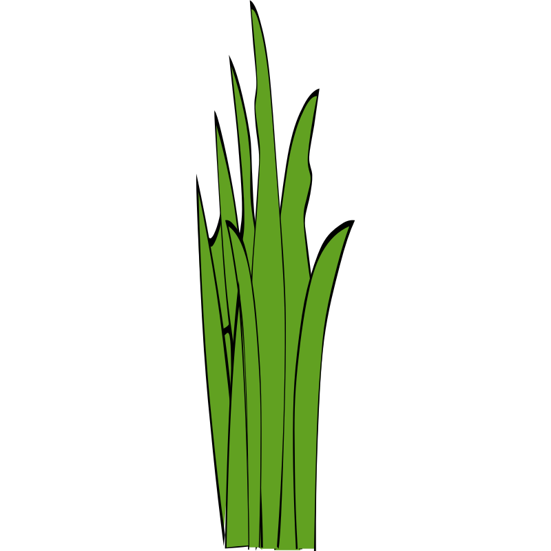 Clipart blade of grass