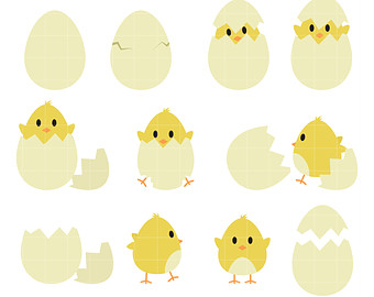 Clipart chicks hatching