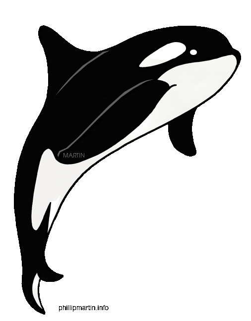 Killer Whale Clipart - Tumundografico