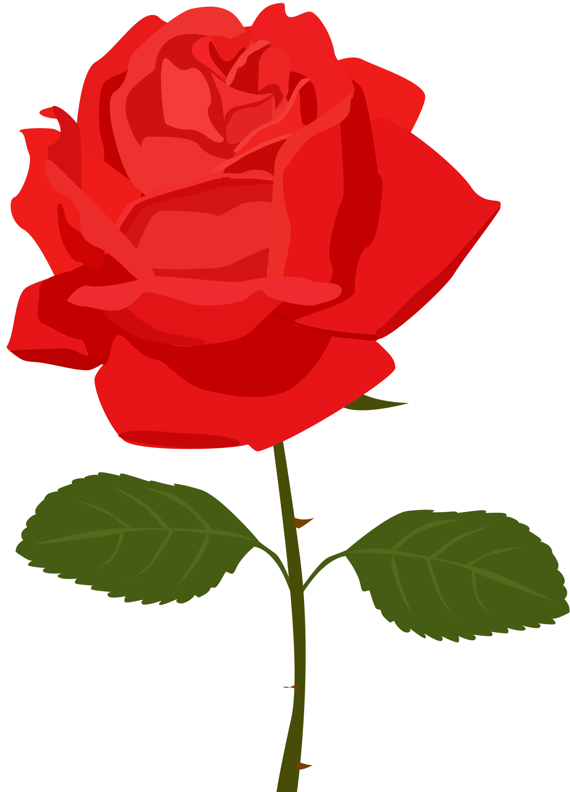 Red rose outline clipart png