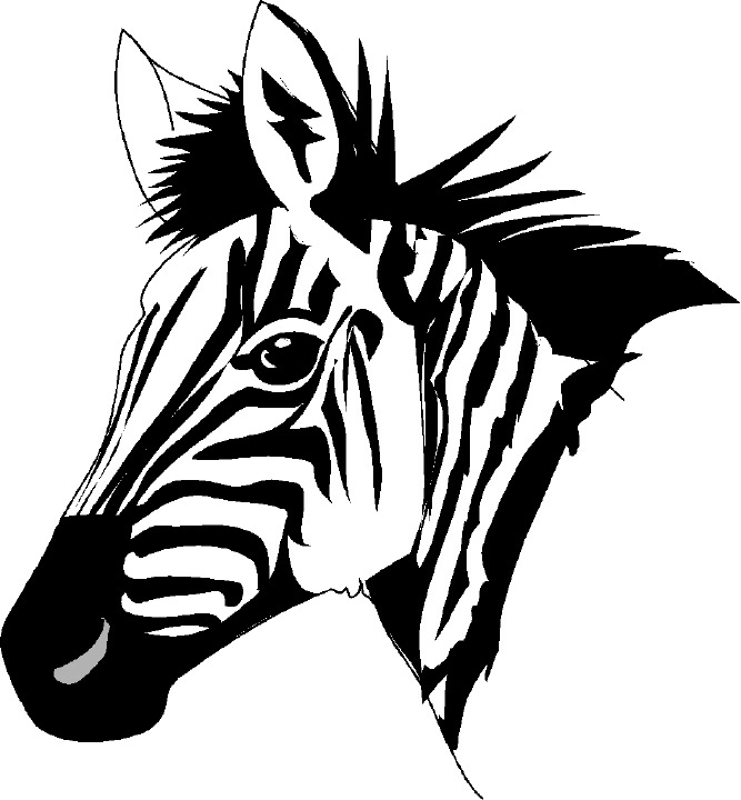 Zebra Background Clipart | Free Download Clip Art | Free Clip Art ...