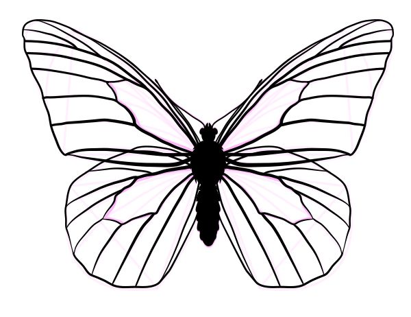 How To Draw Butterfly | Butterfly ...