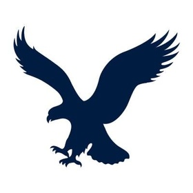 Mobile sales soar for American Eagle
