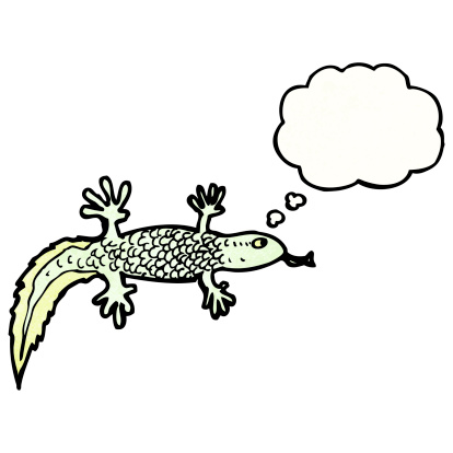 Clip Art Of A Salamanders Clip Art, Vector Images & Illustrations ...