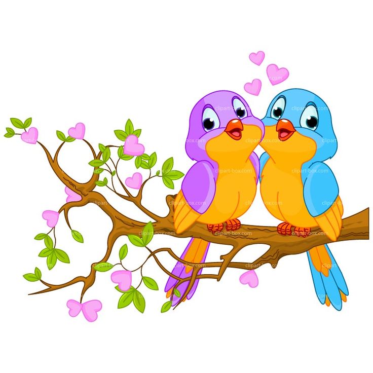 Bird Clipart | Clip Art, Elf ...