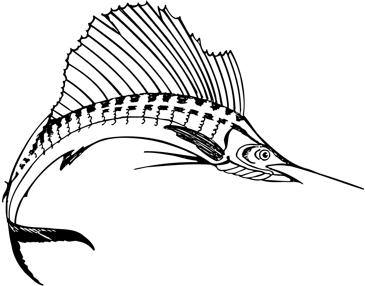 Swordfish Clipart - Free Clipart Images