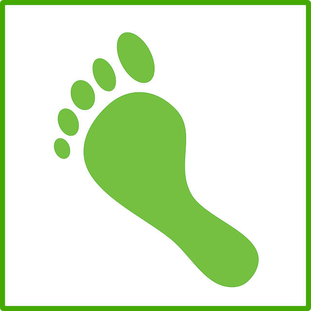 Free pictures TOES - 25 images found
