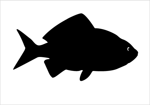 1000+ images about Cakes - Silhouette fish