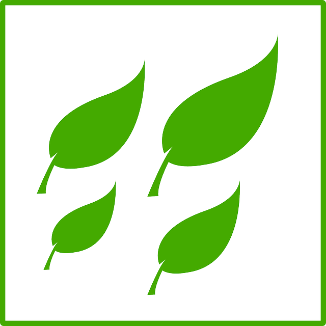 ECOLOGY, GREEN, LEAF, LEAVES, SYMBOL, SIGN - Public Domain ...