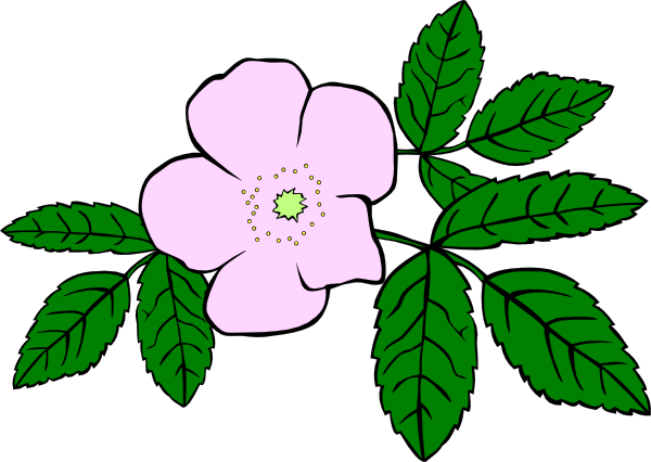 Wildflower Clipart - Tumundografico