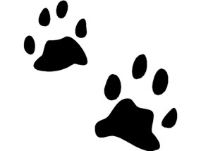 Animal tracks clipart
