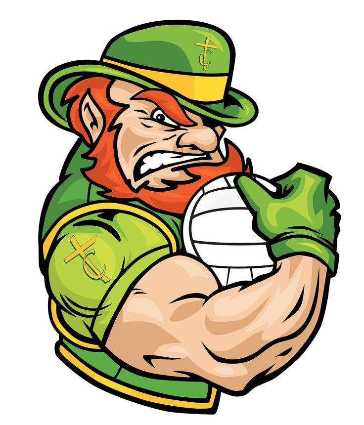 1000+ images about Irish | Logos, Fighting irish and ...